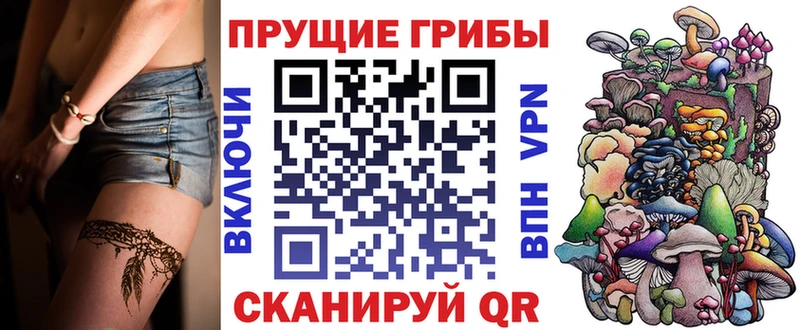 Галлюциногенные грибы Cubensis  Будённовск 